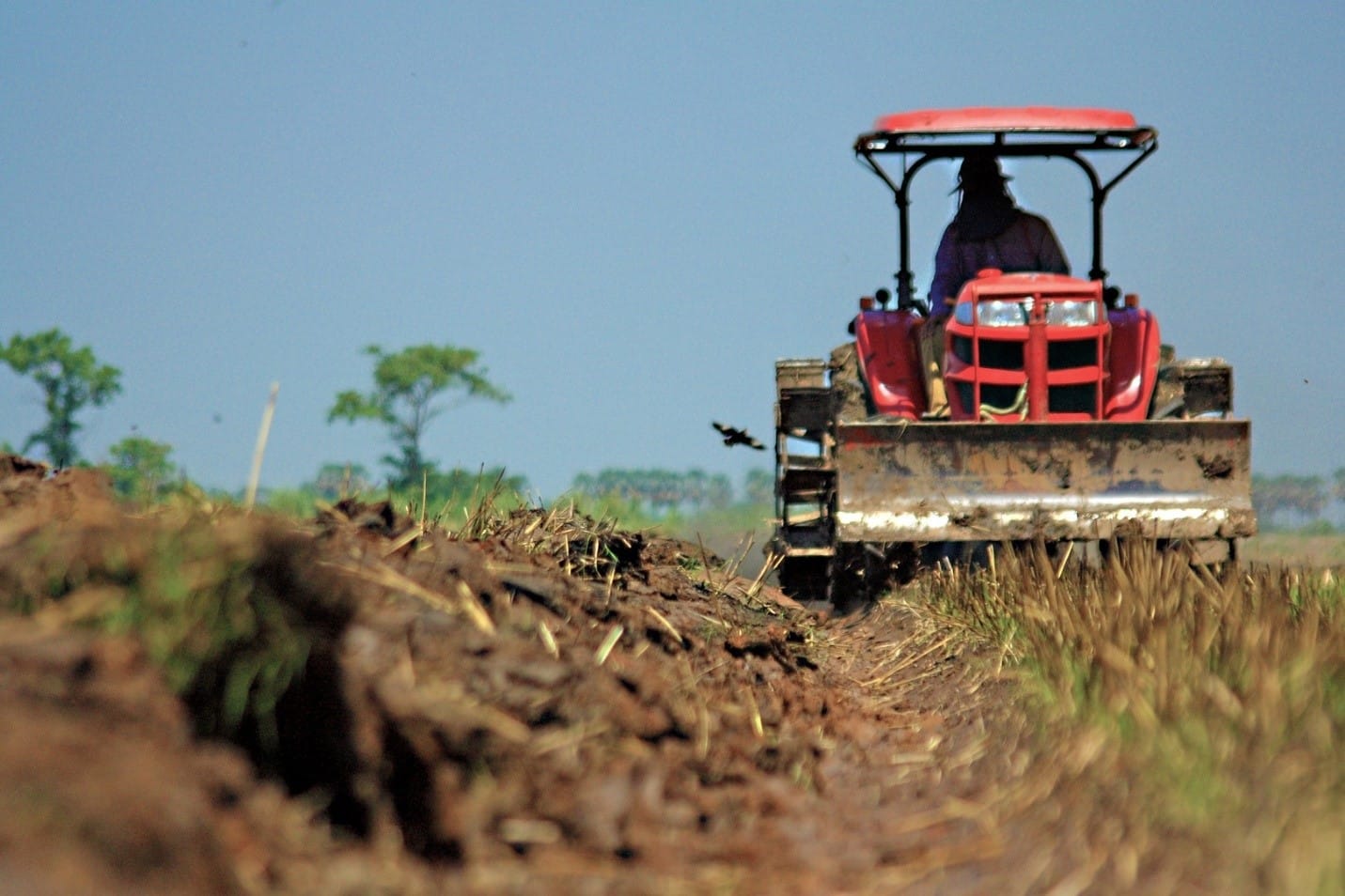 Follow all necessary protocols to ensure that vehicles going in and out of your farm are clean and sanitised.