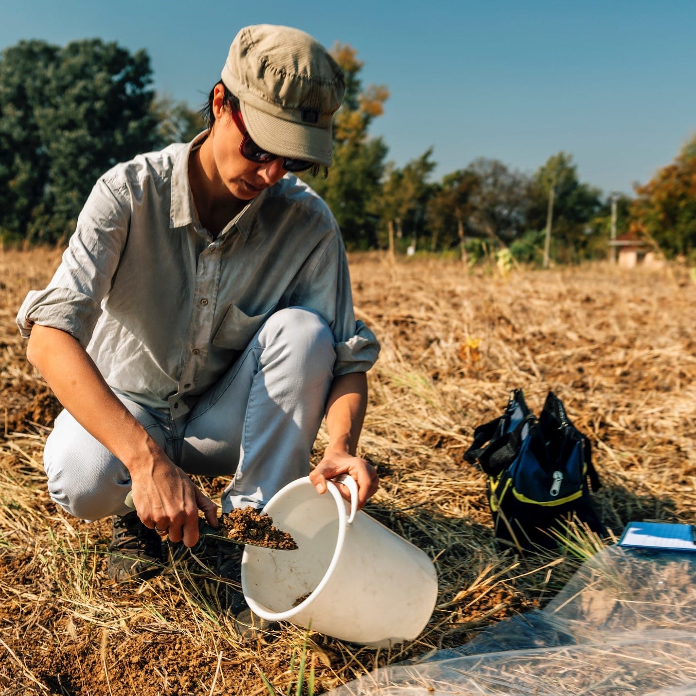 A soil test will give you more information about your soil and what you need to improve upon.