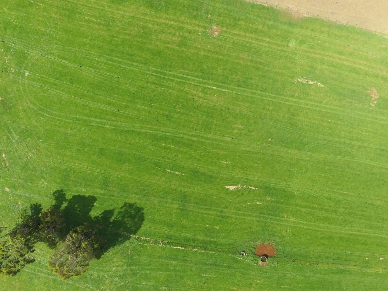 With a rising plate meter, you walk a transect across each paddock taking plonks (measurements)