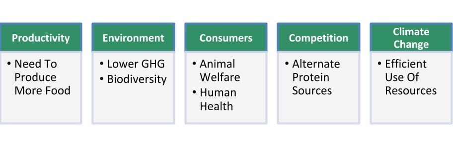 Agtech is disrupting the world with many solutions for massive global issues