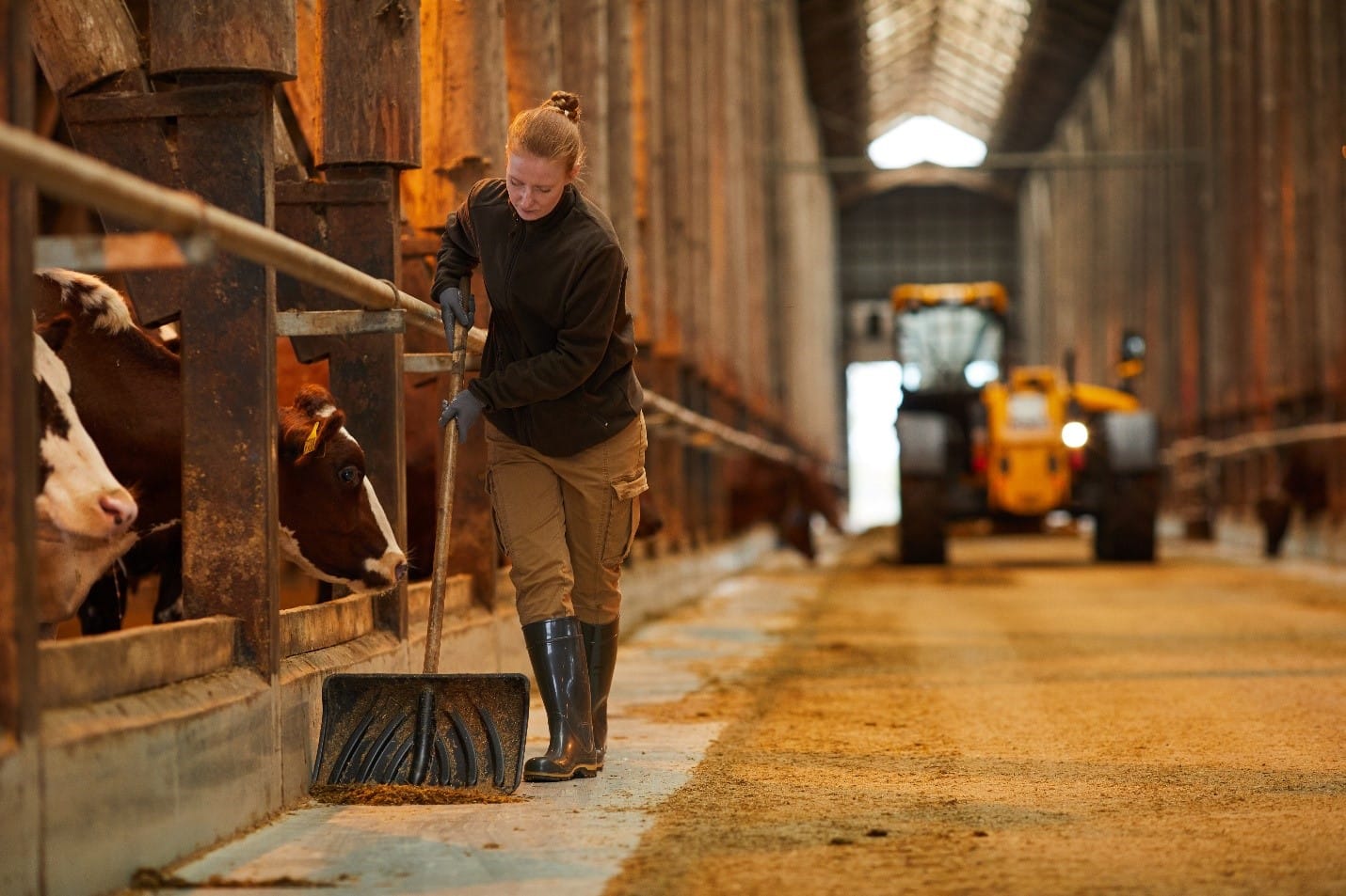 Constantly monitor and manage all feed, bedding, equipment, vehicles and visitors that enter your farm.