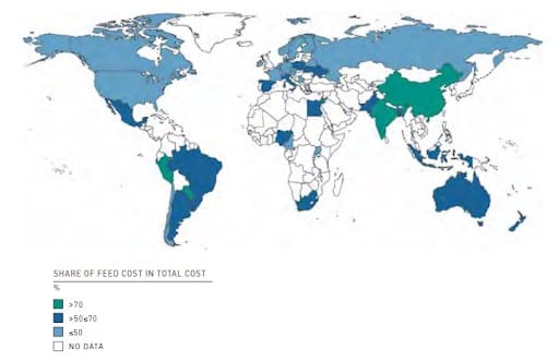 The share of feed cost in the total cost of milk production on the average-sized farms